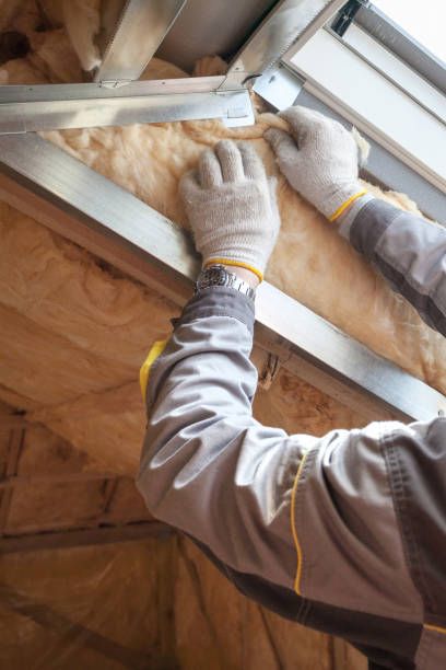 Best Blown-In Insulation  in Lufkin, TX